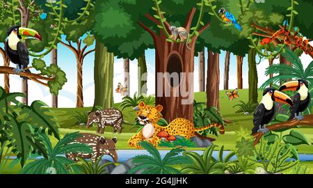 Wild animals in the forest at daytime Stock Vector Image & Art - Alamy