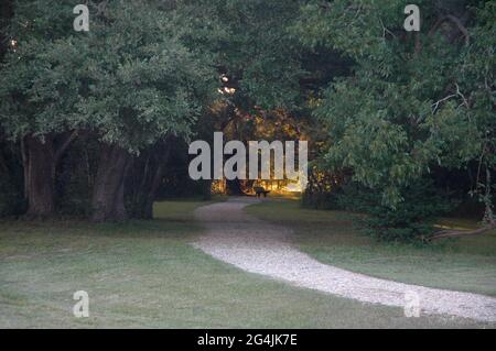 Glow of sunset through opening in forest path at Brazos Bend SP Texas Stock Photo