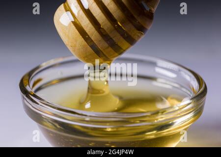 a fresh golden honey pours beautifully from a wooden honey spoon Stock Photo