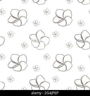 Line art plumeria flower background. Exotic flower illustration for backdrop, wrapping paper, fabric, spa and beauty care products, textile, web, wallpaper Stock Vector