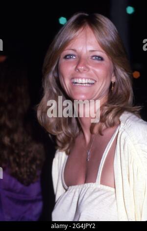 Cheryl Tiegs Circa 1980's Credit: Ralph Dominguez/MediaPunch Stock ...