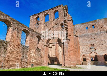 Bad Dürkheim, Germany - April 2021: Ruin of Limburg Abbey in Palatinate forest Stock Photo