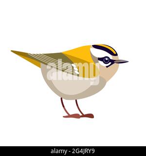 Firecrest or goldcrest is a very small passerine bird in the kinglet family. Tiny smallest Bird Cartoon flat vector illustration isolated on white Stock Vector