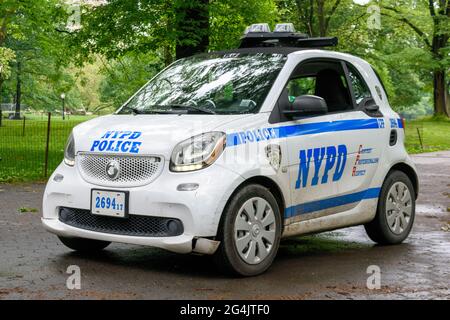 smart car cop