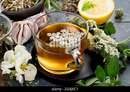 Various kinds of herbal tea on dark background. Natural herbs medicine. Stock Photo