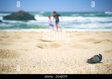 Two boys running on sandy beach, seashell on the sand, rock in the water, at Bodega Head on the Pacific Ocean coast of California. Stock Photo