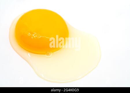 Isolated macro a raw fresh chicken egg on white background. No eggshell in the image. Stock Photo