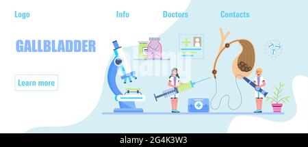 Gallbladder concept vector. Doctors treat gallstones. Biliary dyskinesia ptoblems. Healthcare, medical template for medical website, banner. Stock Vector