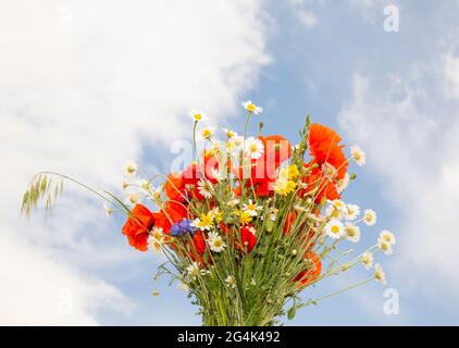 bouquet of wild flowers poppies daisies on the sky background. Flowers and chips Stock Photo