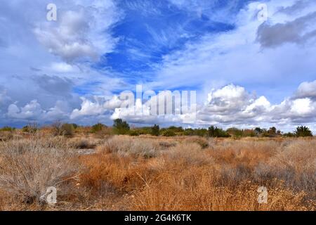Stormy skies over a dry, Arizona grassland. Stock Photo