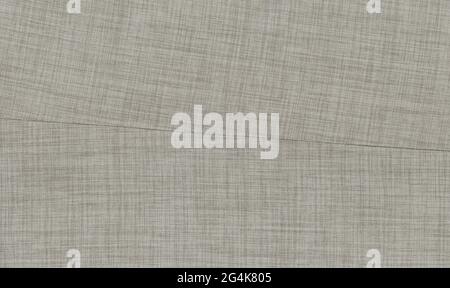 light grey polyester and cotton fabric texture useful as a background Stock Photo