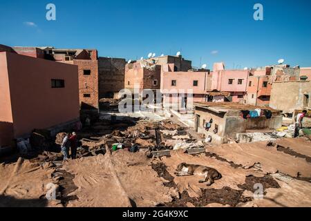 Tanneries, Marrakech, Morocco, North Africa, Africa Stock Photo