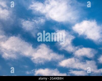Small wind-torn clouds in the blue sky Stock Photo