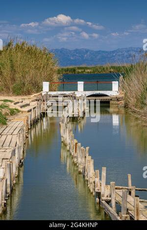 vicen-fishery-on-the-buda-island-in-the-ebro-delta-tarragona