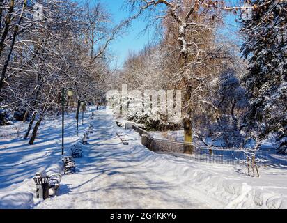 Saxon Garden at winter time Lublin Lublin Voivodeship Poland Stock