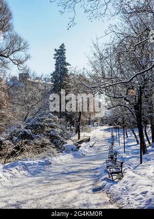 Saxon Garden at winter time Lublin Lublin Voivodeship Poland Stock