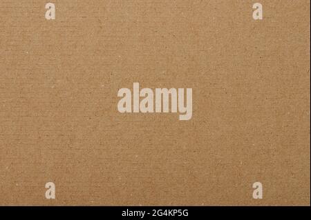 Rough clean beige color paper macro close up view Stock Photo