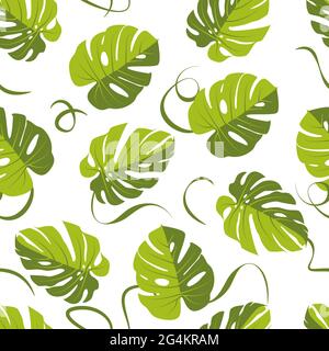 monstera leaf pattern, Palm Leaf Seamless Background. Vector illustration Stock Vector