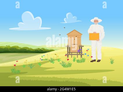 Beekeeper people work in apiary, farm apiculture agriculture, honey gathering from wooden beehive vector illustration. Cartoon man in protective uniform beekeeping, holding honeycomb background Stock Vector
