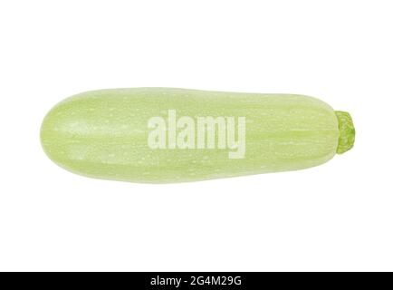 One zucchini courgette isolated on white background. Stock Photo