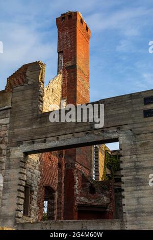 Dungeness Ruins on Cumberland Island National Seashore, Georgia a barrier island Stock Photo