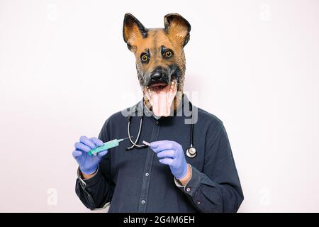 person with a dog mask, latex gloves and a stethoscope holding a syringe on white background, concept of vaccination and reliable veterinarian for you Stock Photo