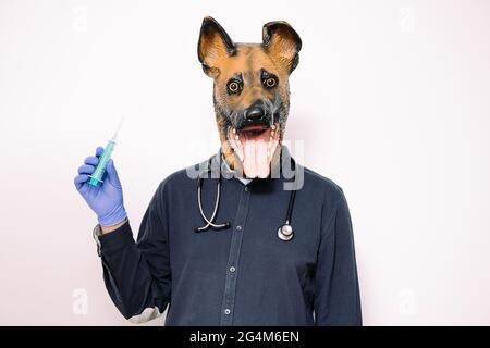 person with a dog mask, latex gloves and stethoscope shows a syringe on white background, concept of vaccination and trusted veterinarian for your pet Stock Photo
