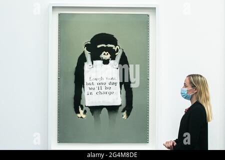 Banksy Poster monkey Laugh now, but one day we'll be in charge