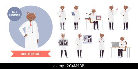 Doctor cat character poses, anthropomorphic set vector illustration. Cartoon funny medicine worker kitten posing and working, kitty scientist with stethoscope holding x-ray of bones isolated on white Stock Vector