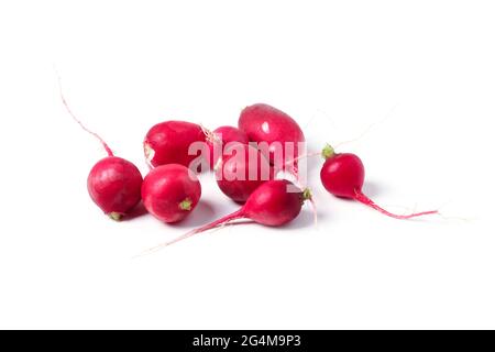 Several red ripe juicy radishes isolated on white Stock Photo