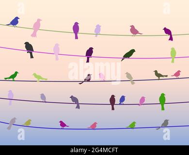 Colorful birds icons on wire in dusk time Stock Vector