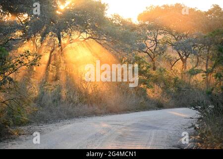 South Africa Stock Photo