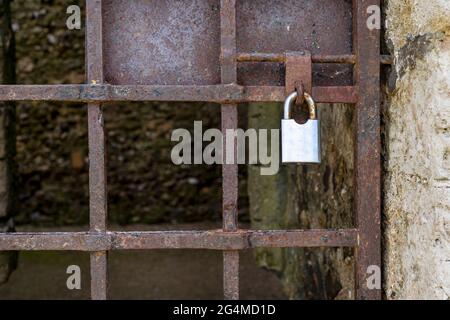 Shiny padlock locking a rusty iron door, Stock Photo