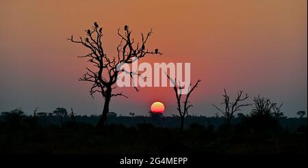 South Africa Stock Photo