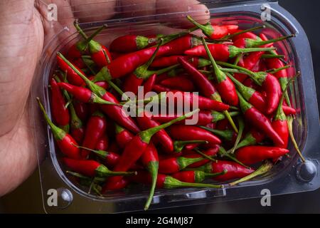 Red Bird's Eye Chilli, Red Chilli Padi, Bird Chilli, a heap of Thai pepper placed in a basket. Stock Photo