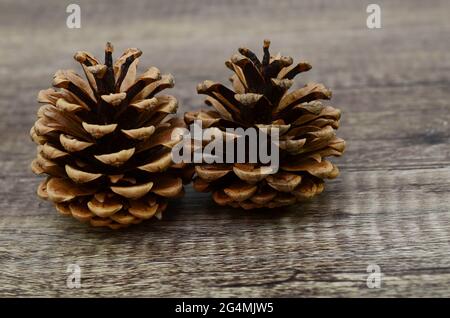 Two pinecones on wooden Stock Photo