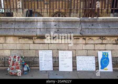 London UK 7 24 2019 Anti Brexit Pro EU signs on sidewalk with backpack and water nearby Stock Photo