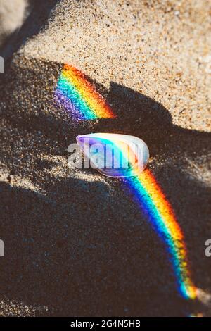 Seashell on sandy seashore with rainbow spectral light reflection. Stock Photo