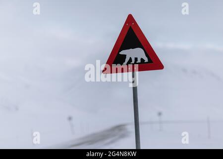 Polar bear warning sign placed at roadside in highlands in winter in Svalbard Stock Photo