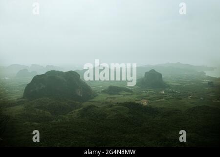 Tall green trees above lush plants growing in thick jungle against massive rocky mountains against cloudy sky in wild nature Stock Photo