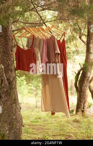 A vertical shot of clothes on hangers on a tree branch Stock Photo