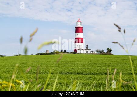 Long grass frames the pretty lighthouse at Happisburgh in Norfolk during the summer of 2021. Stock Photo