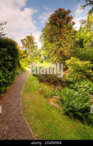 Dr Neil's Garden is a park and gardens located in Duddingston, Edinburgh which was owned by wo Dr's and help with volunteer's to maintain the site, Stock Photo