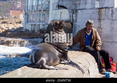 Fisherman and friend Kalk Bay Harbour Cape Town Stock Photo