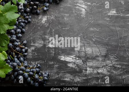 Black juicy grapes on vintage dark concrete background. Frame made of grapes. Copy space for text or menu on black scuffed background. Frame made of Stock Photo