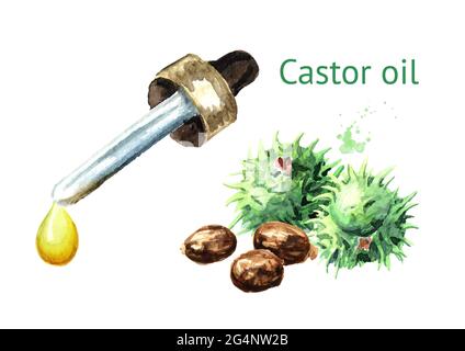 Castor oil drop with  Green castor fruits and seeds. Watercolor hand drawn illustration, isolated on white background Stock Photo