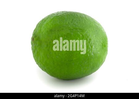 Lime green lemon isolated on white background. Citrus full focus. Stock Photo