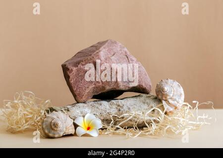 Empty Podium Stones tower on kraft brown paper background. Stones pedestal display on beige background made from seashell stones flowers mockup for Stock Photo