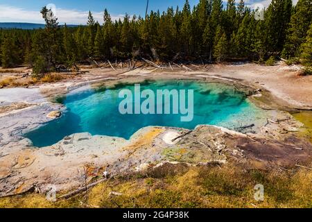 Emerald Spring in Norris Geyser Basin Yellowstone National Park, Wyoming Stock Photo