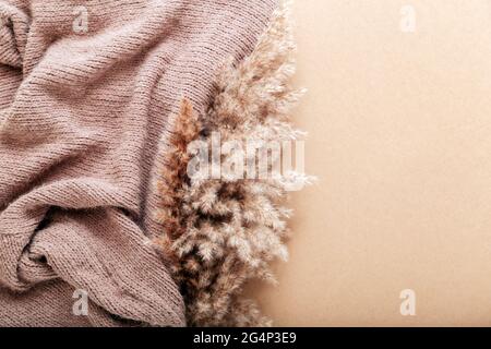 Reed pampas with beige warm knitted fabric on beige craft paper background. Beige frame background with copy space and flower of fluffy reed pampas. Stock Photo